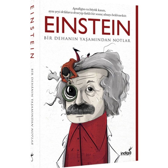 Einstein bir dehanın yaşamından notlar