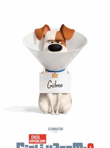 Evcil Hayvanların Gizli Yaşamı 2